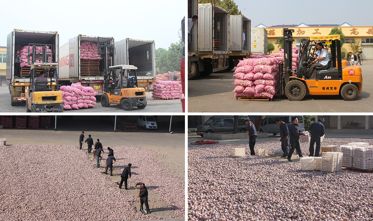 未標題-4.jpg 未標題-4.jpg